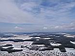 IMG_2631.jpg